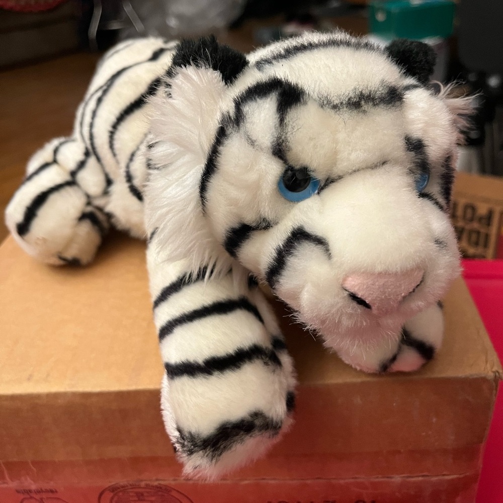 Cute White Tiger